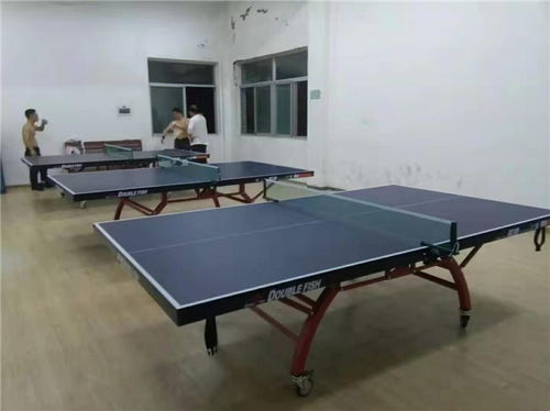 户外阳光下的较量 室外乒乓球台材质深度解析（多图）